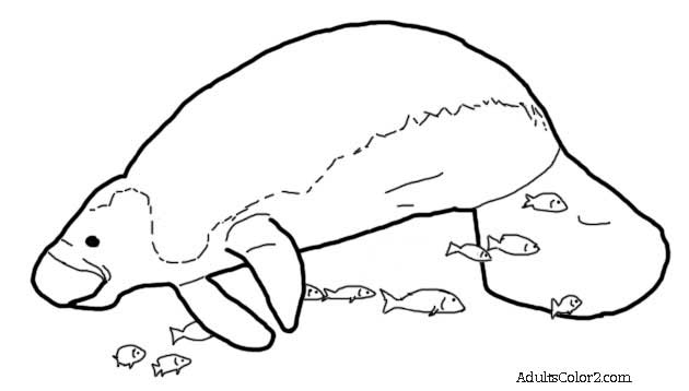 Cute Manatee Coloring Page Coloring Pages