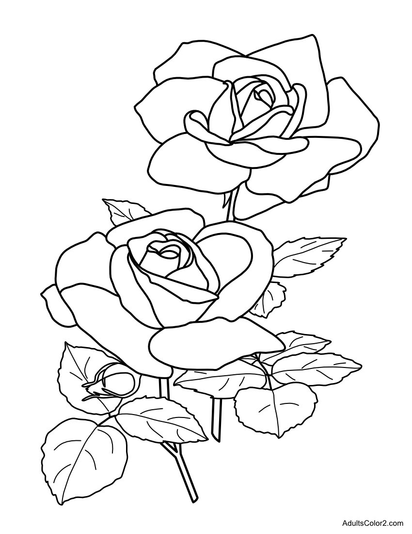 Happy Mothers Day: Coloring Pages