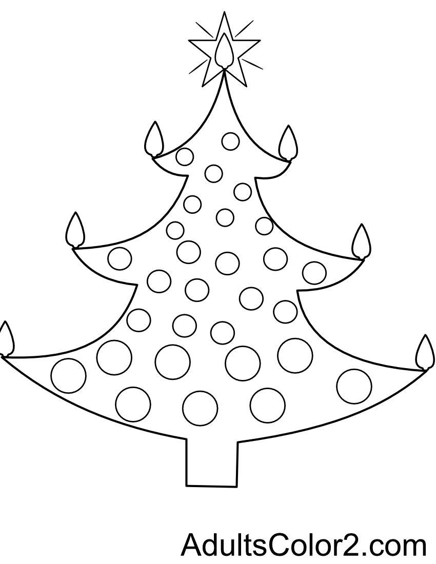 Decorated Christmas tree.