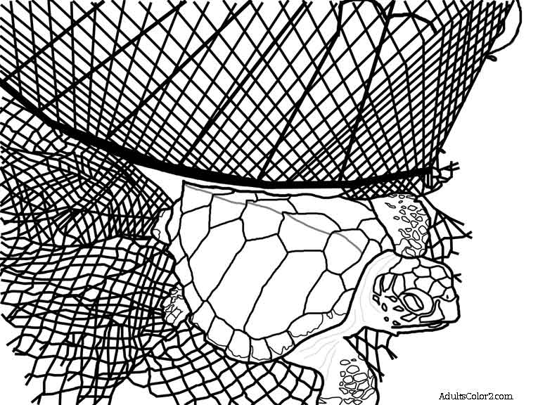 Sea Turtle Coloring Page: Help Hawksbills