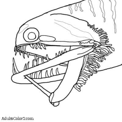 Drawing of Photostomias, I call him the glow stick fish