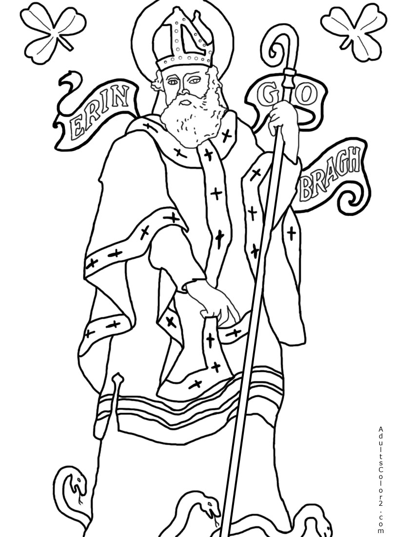 what is st patrick day snakes