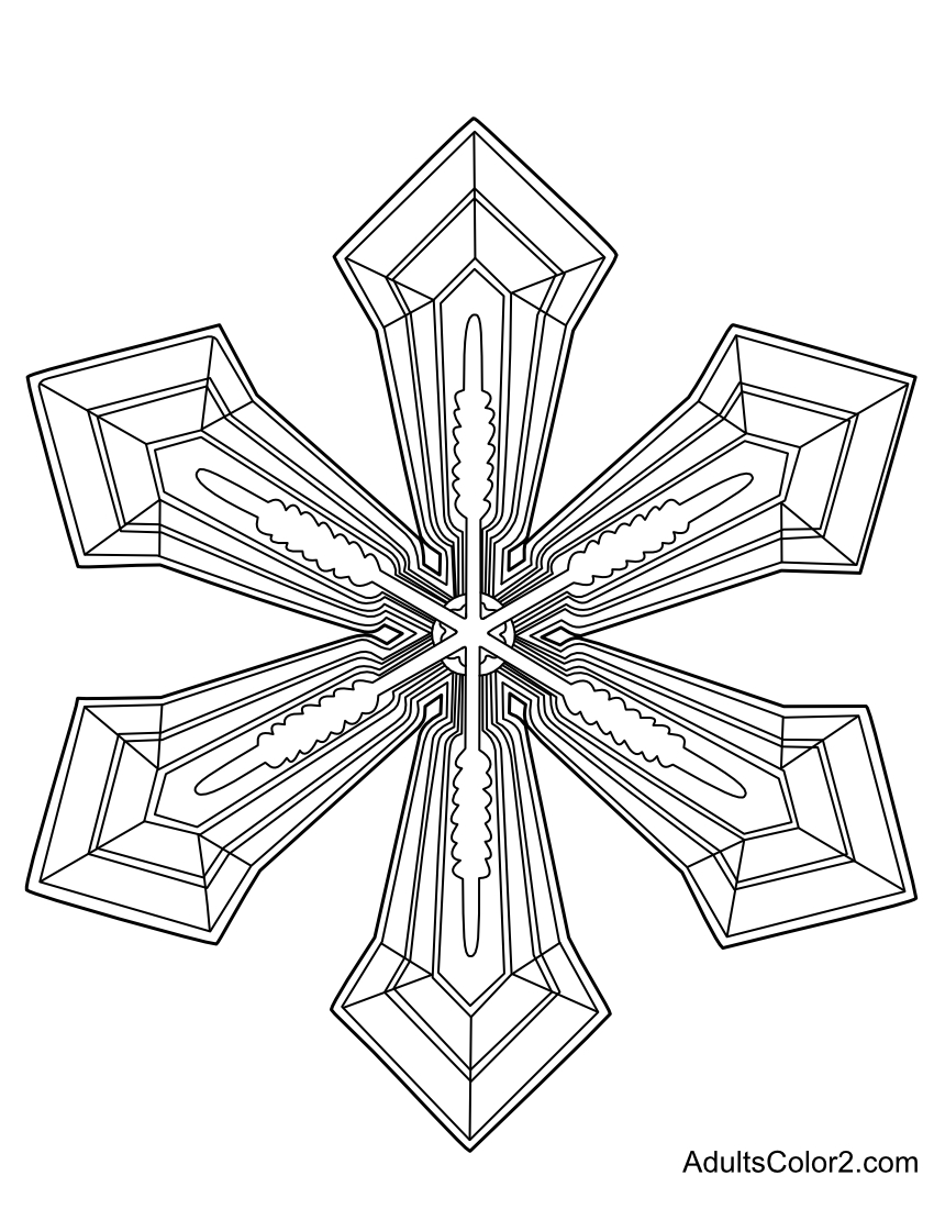 A sharp-cornered flake of snow.