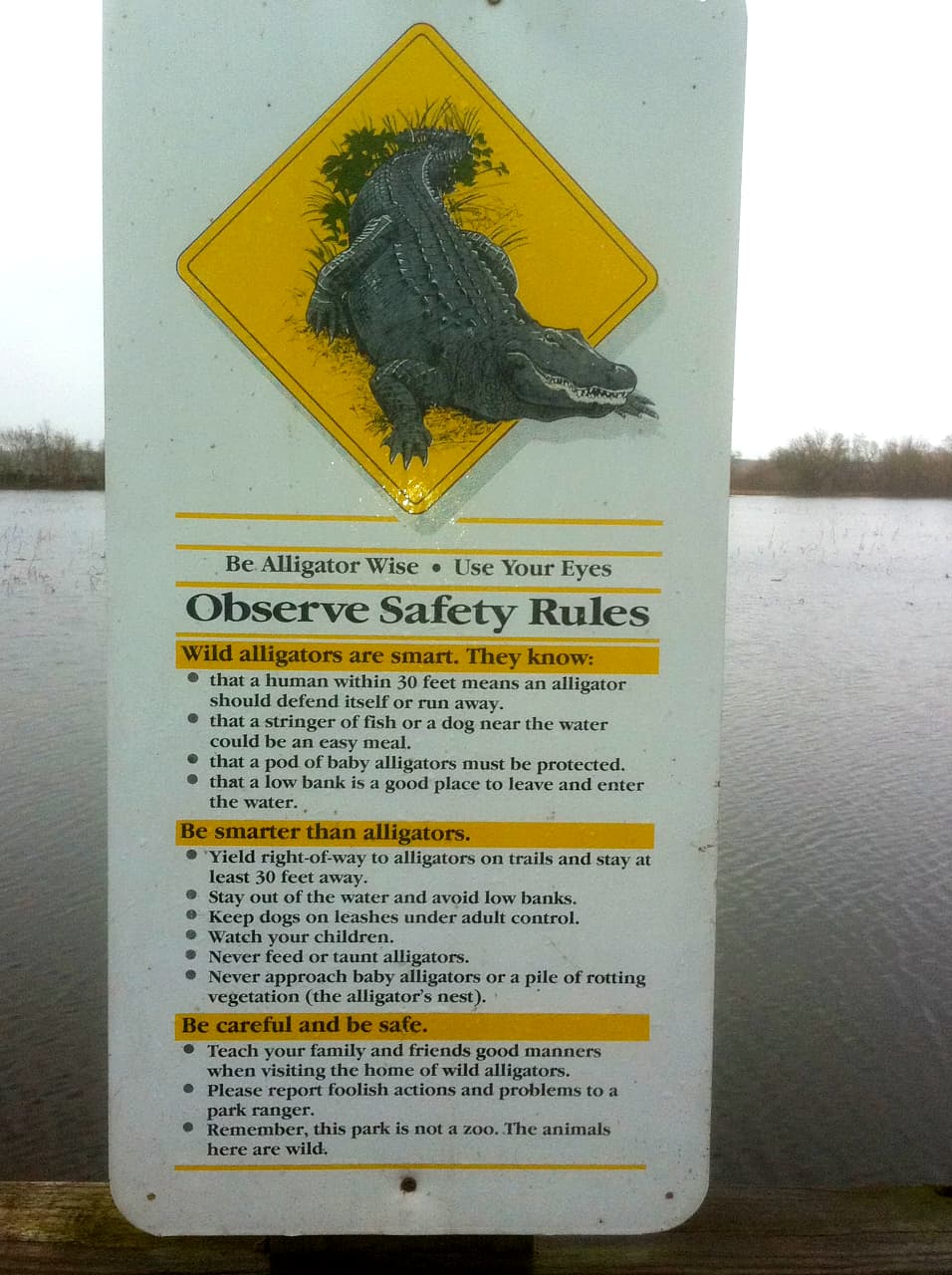 Alligator safety rules sign.