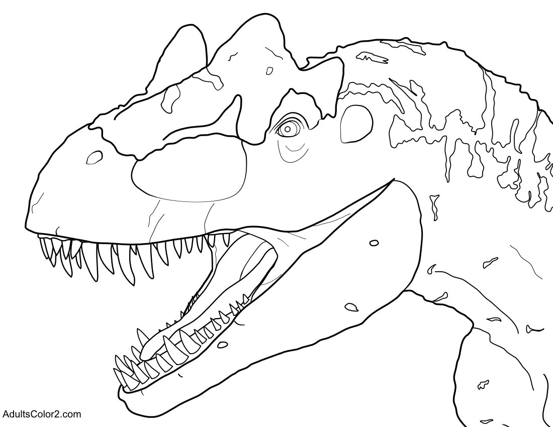 Allosaurus head.