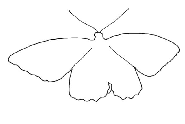 butterfly outline or silhouette basic butterfly shapes