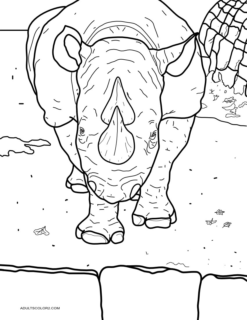 Black rhino safe in the zoo.