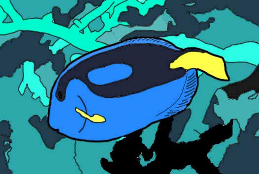 Blue Tang drawing colored in.