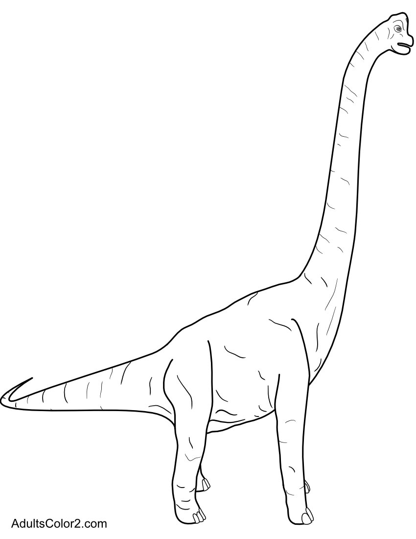Brachiosaurus.