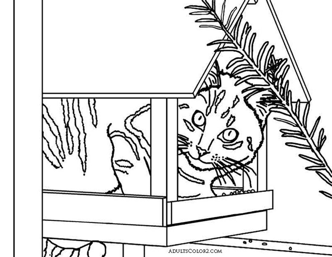 Download Cute Cat Coloring Pages...awww or awe?