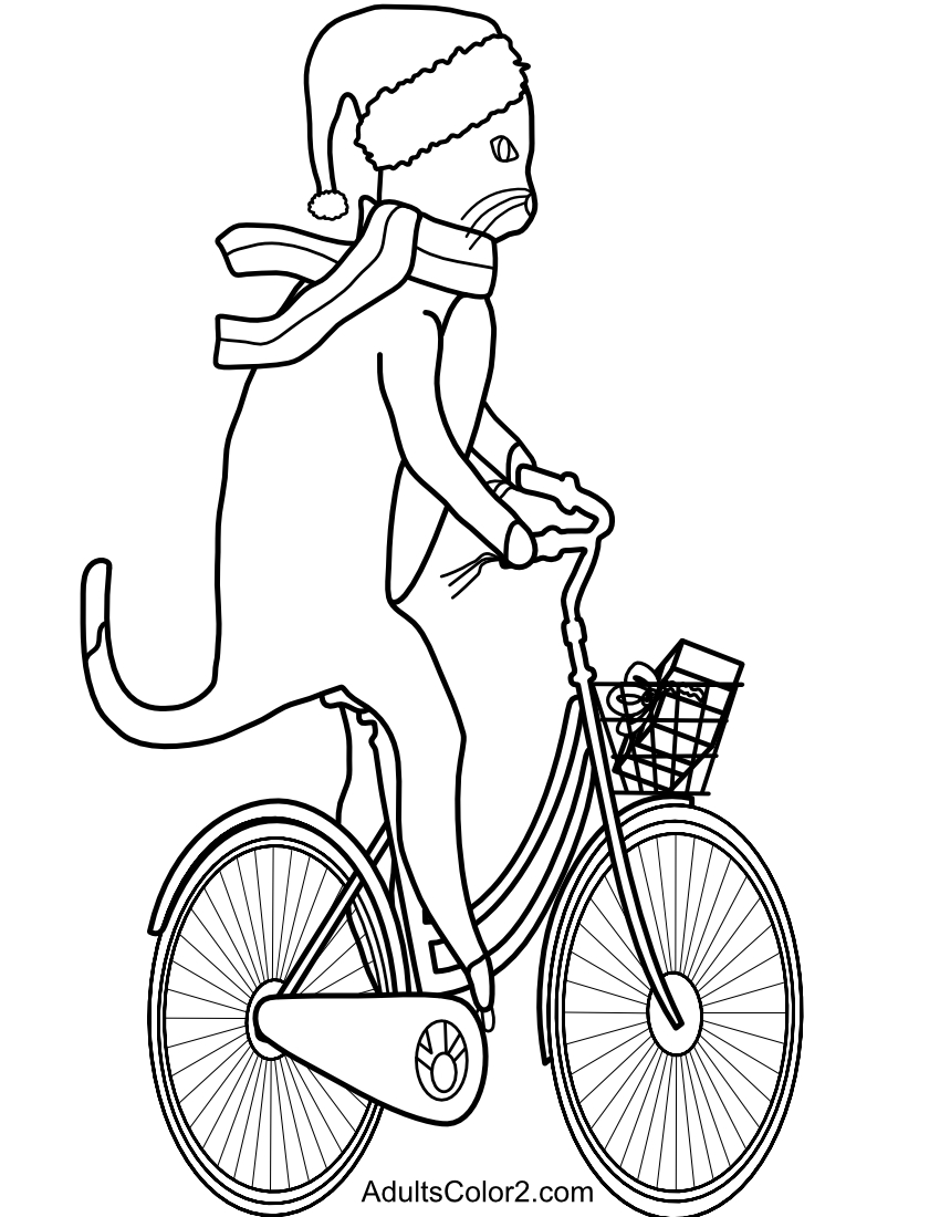 Cat riding bicycle.