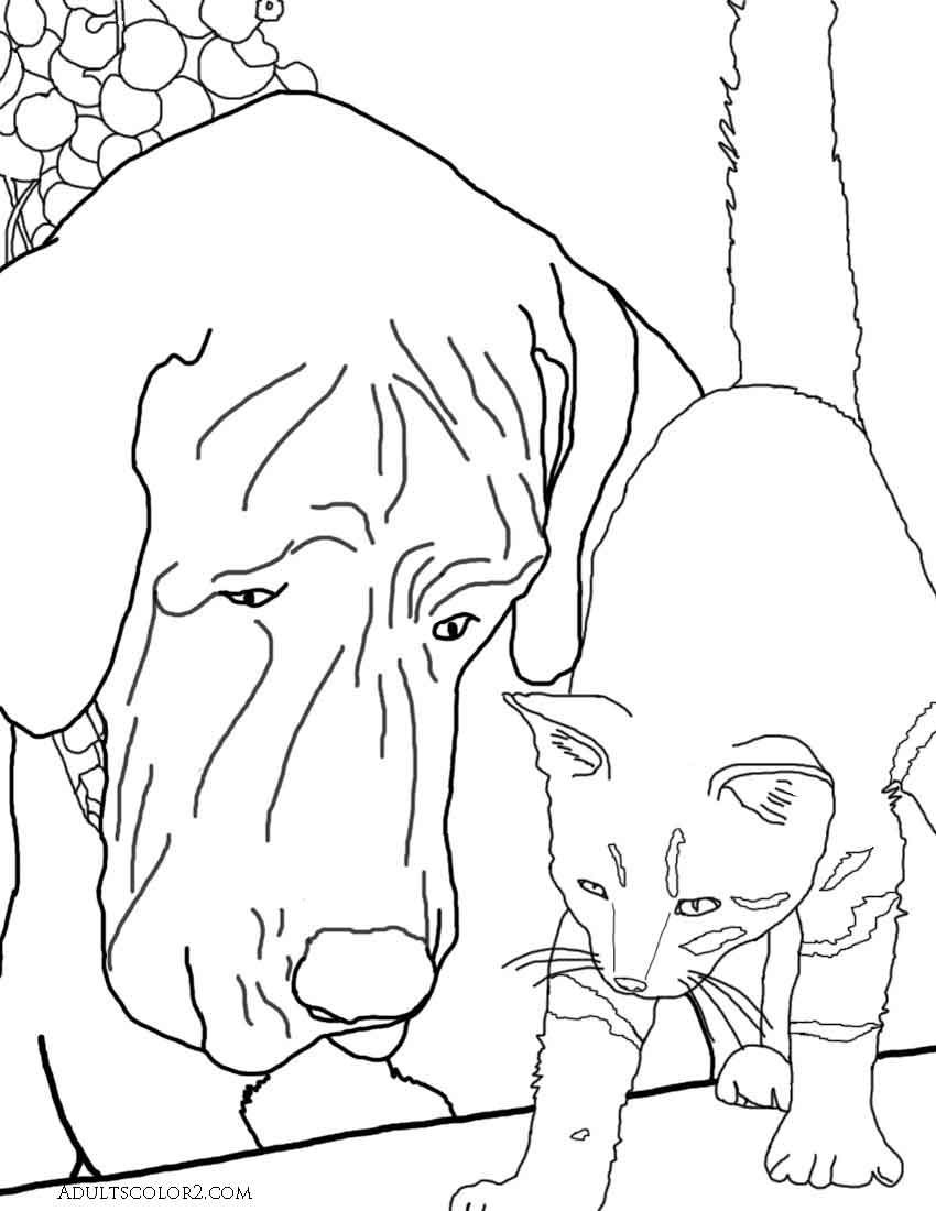 Drawing of a cat and a dog looking at something.  Derived from a phot on Wikimedia Commons.