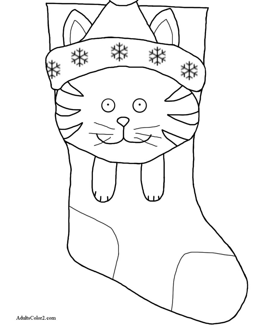Cat face and paws on stocking.