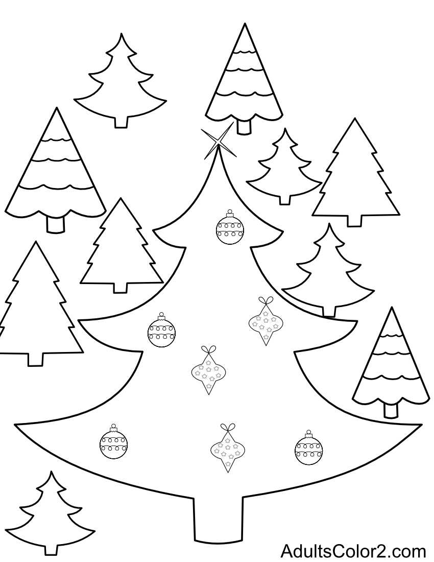 A forest of fir trees hoping to be worthy of Christmas finery like the big one. Christmas tree forest.