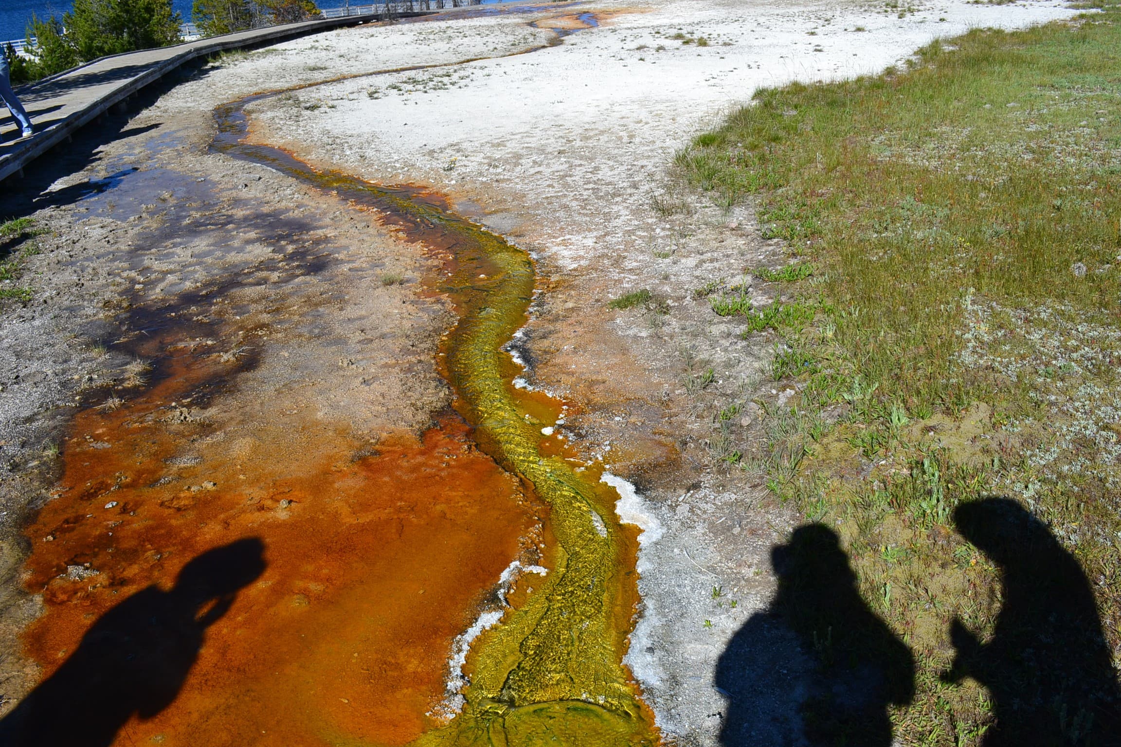 Colorful runoff from a hot spring.