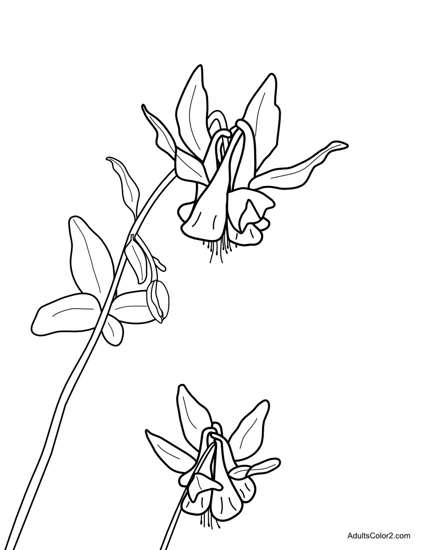 Download Spring Flowers Coloring Page: Beautiful Blossoms