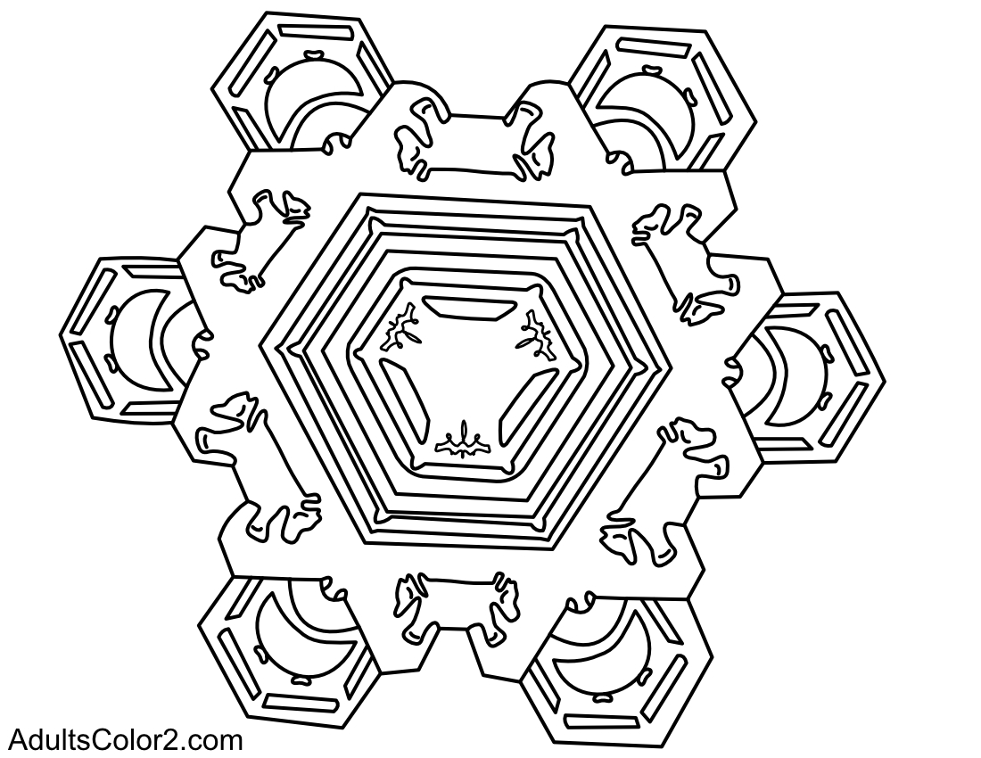 Complex ice crystal drawing from a Wilson Bentley photo.