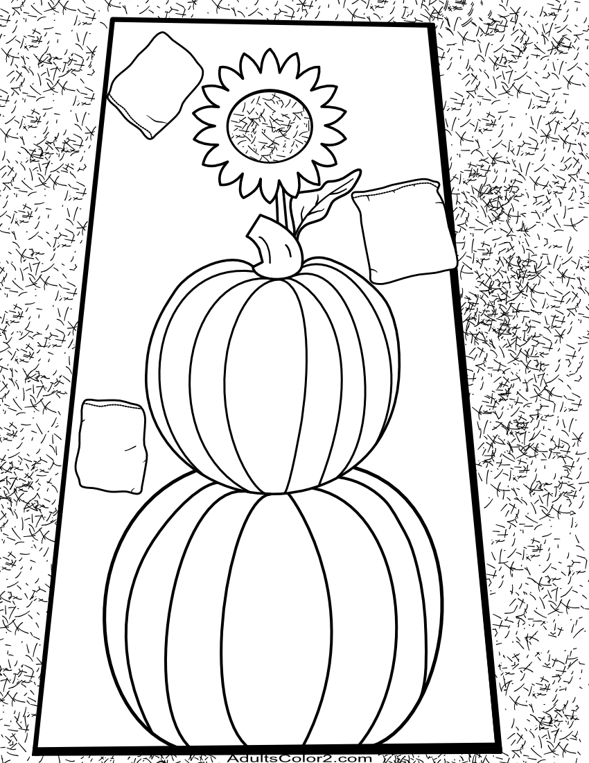 Drawing of a cornhole bean bag game, the board is decorated with a sunflower on top of a pair of stacked pumpkins.