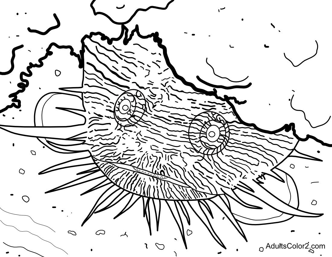 Cozumel toadfish coloring page.