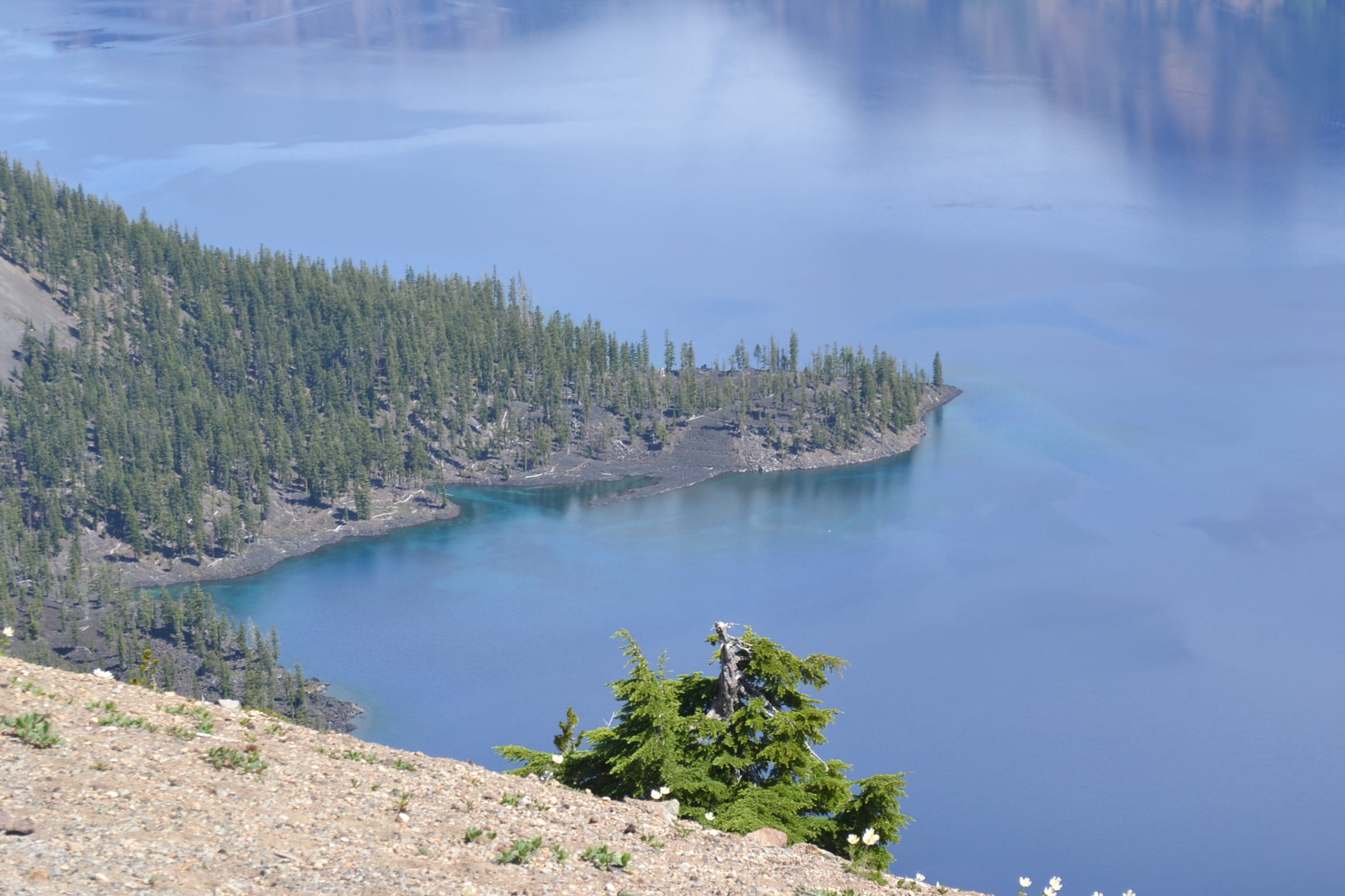 Shoreline view of Crater Lake.