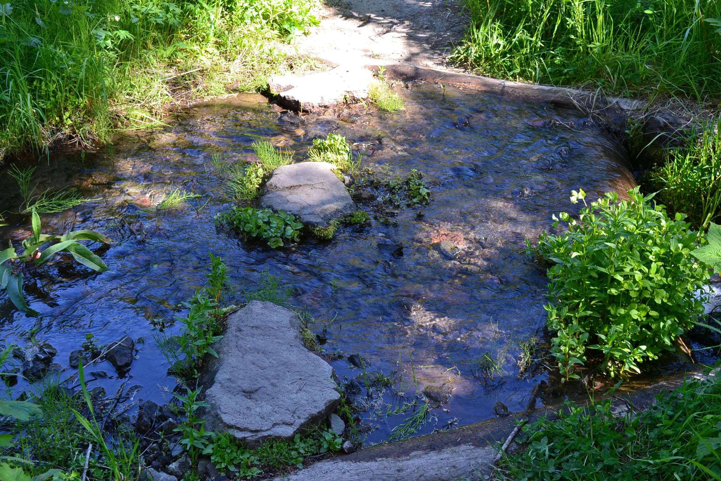 Creek crossing along the trail.