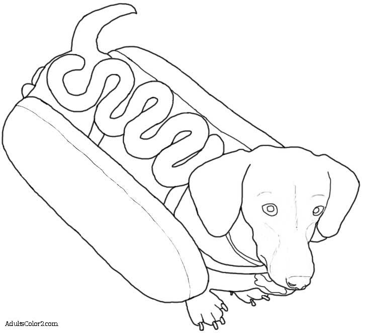 daschund-in-hot-dog-costume-line-drawing