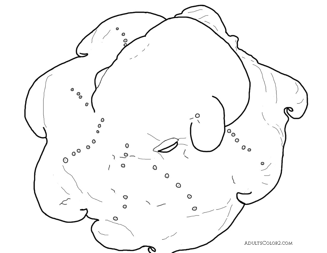 Coloring page of a deep sea octopus based on a picture found on Wikimedia.