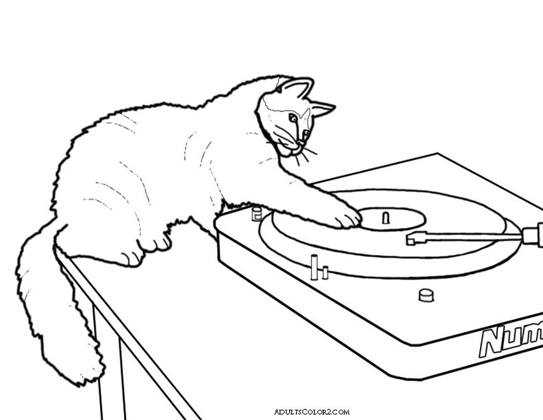 dj cat drawing