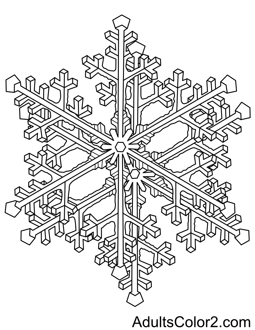 Drawing of a double flake of snow.