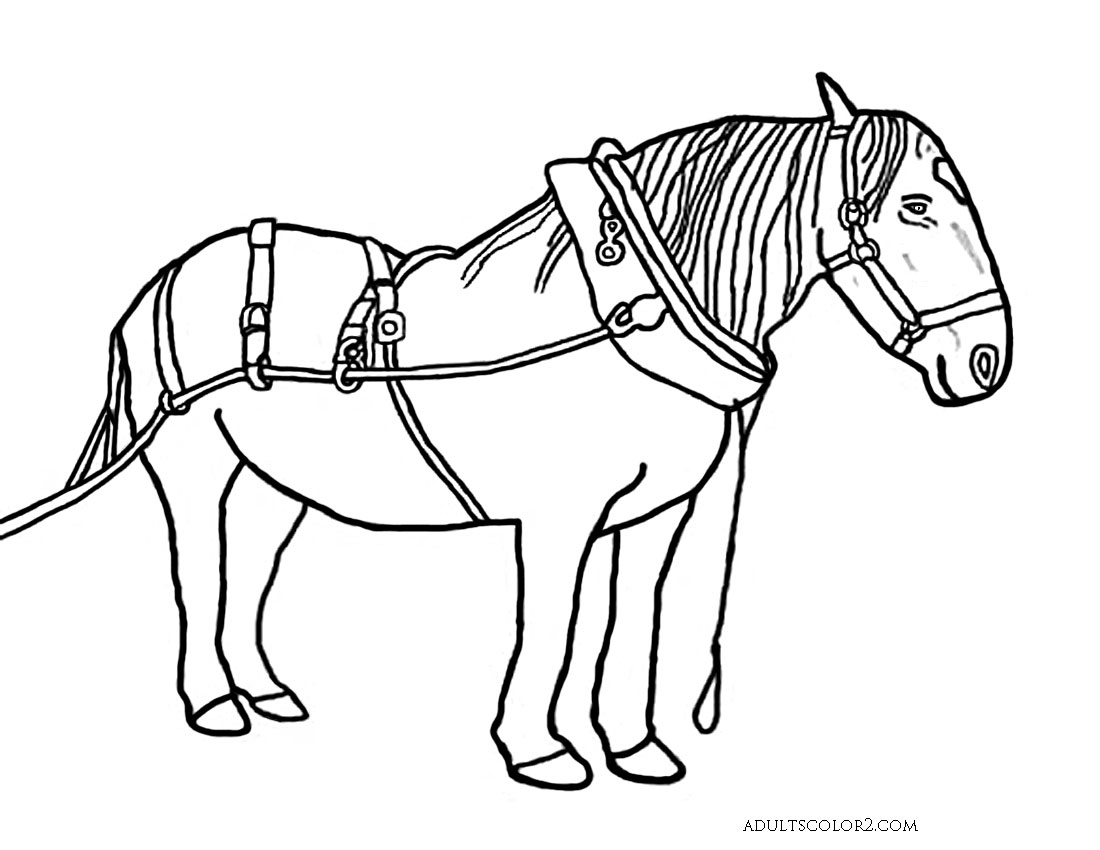 Draft Horse Coloring Pages Coloring Pages