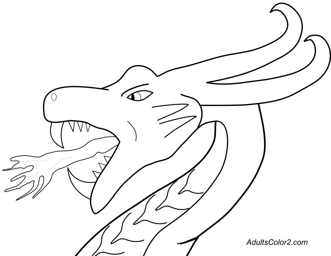 Fire breathing wyvern head.