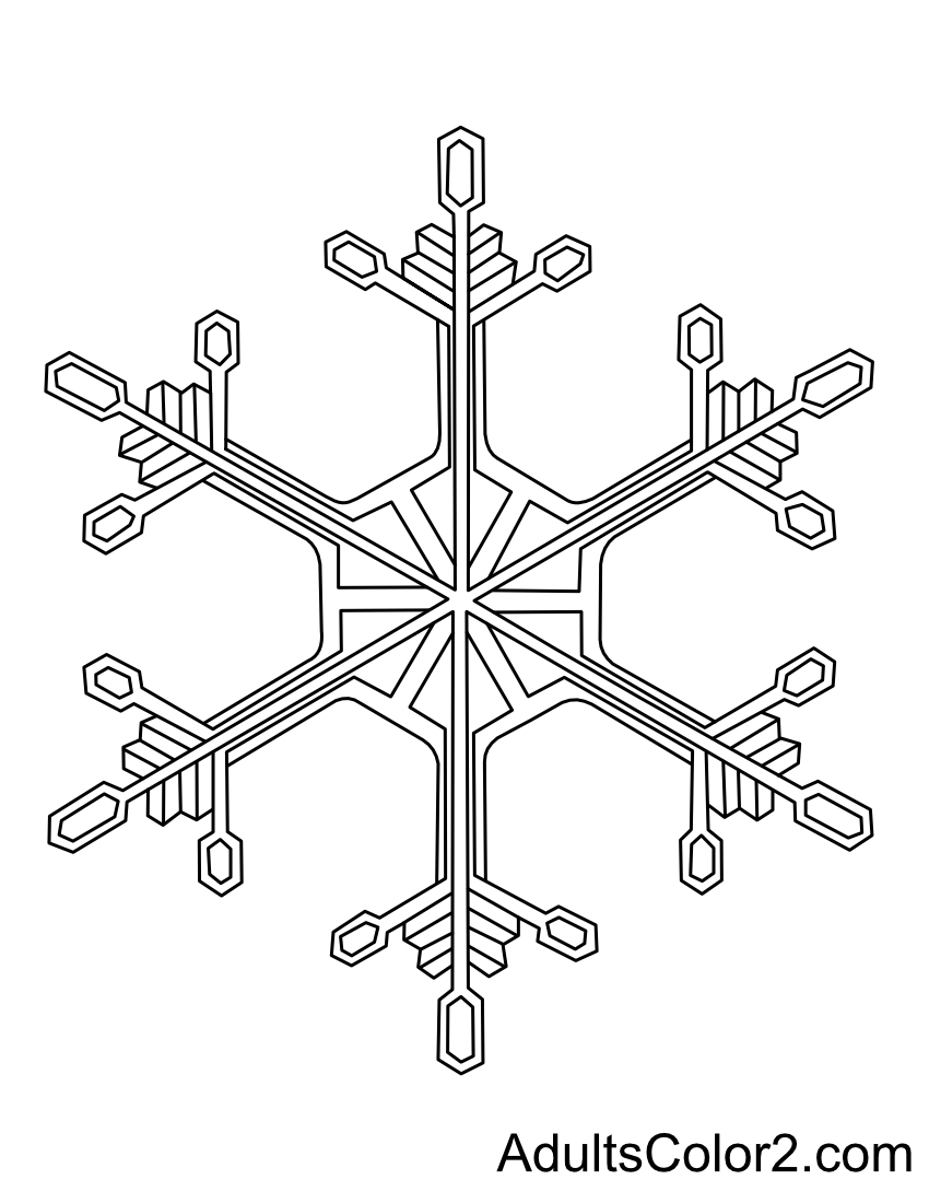 Drawing of an elegant frozen flurry.
