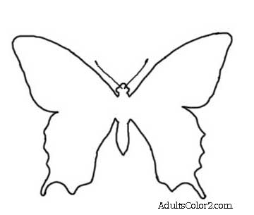 butterfly outline or silhouette basic butterfly shapes