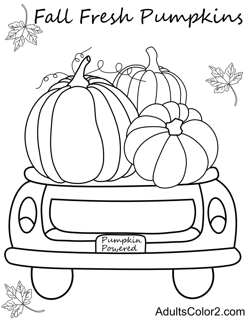 A load of fresh fall pumpkins.