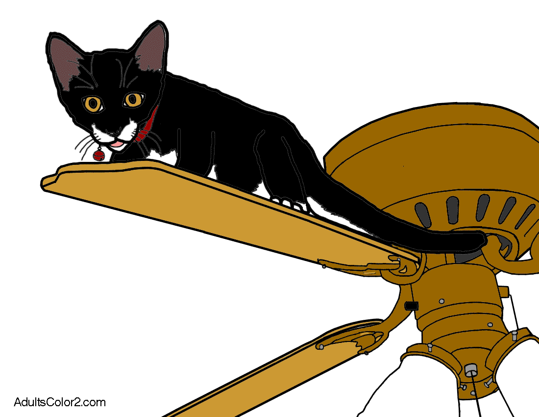 fan-cat-color.gif