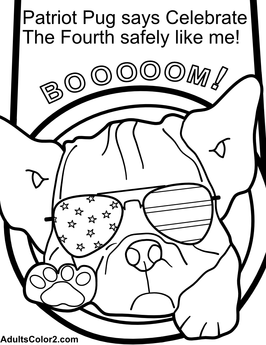 Patriot Pug being shot from a cannon.