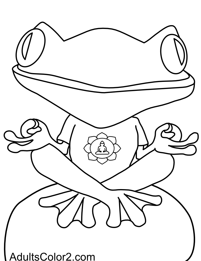 Zen frog on a rock wearing a t-shirt.