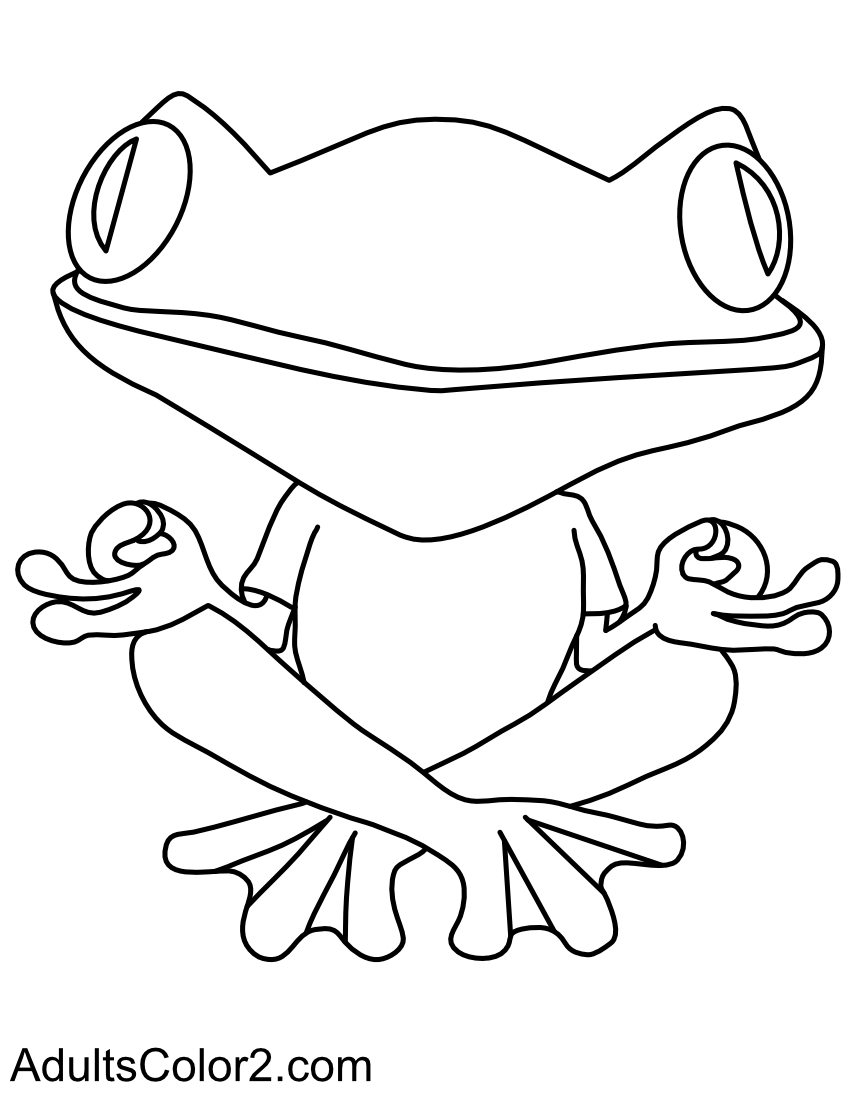 Frog in a Zen pose.