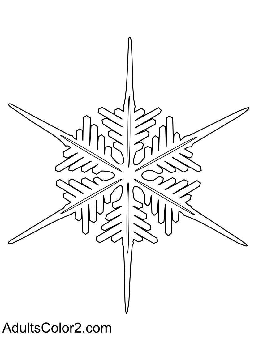 Drawing of an real frozen flake of precipitation.