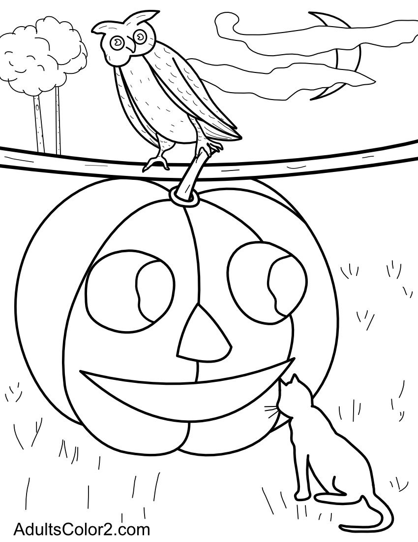Owl and cat with a giant Jack o' Lantern.
