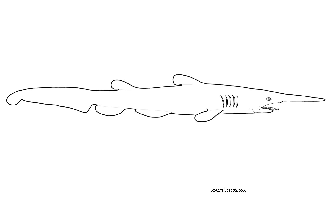 Goblin shark