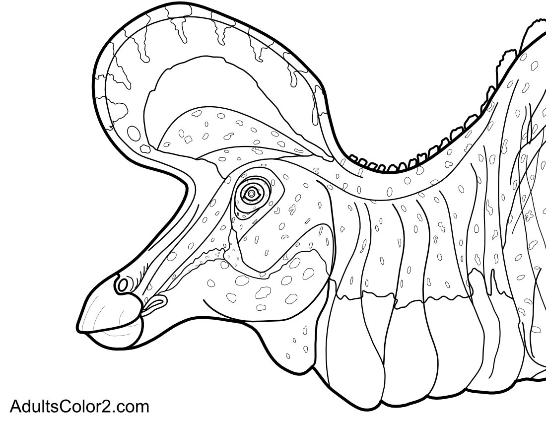 Closeup of a hadrosaur's head.