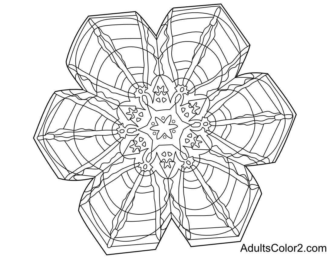 Drawing of a labyrinthine flake of snow.