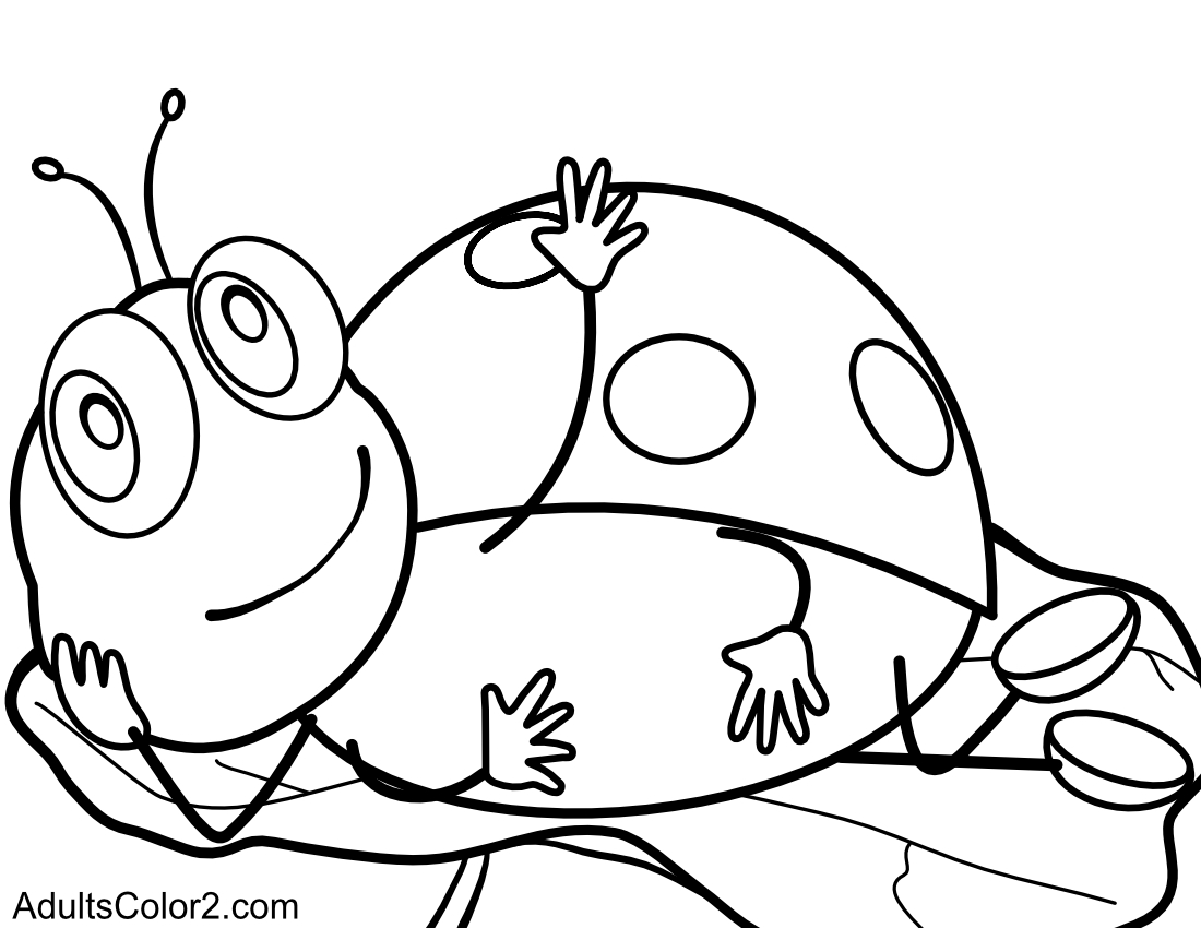 Lazy ladybug.