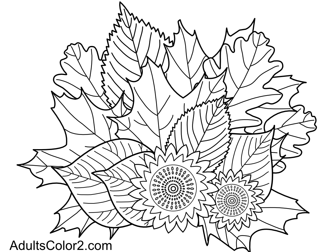 Drawing of leaves and sunflowers fall decoration.