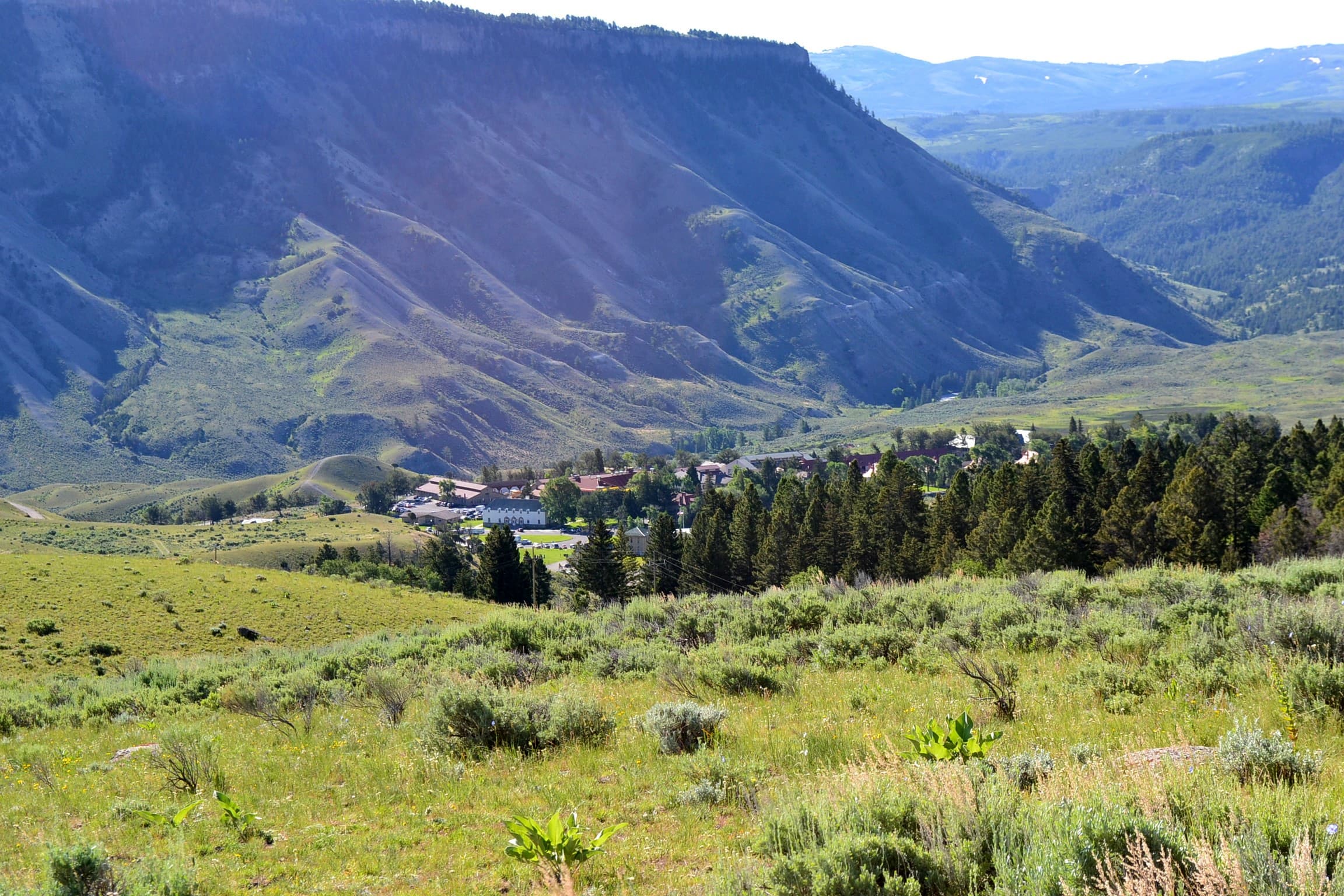 A view of Mammoth Hot Springs in the distance from above.
