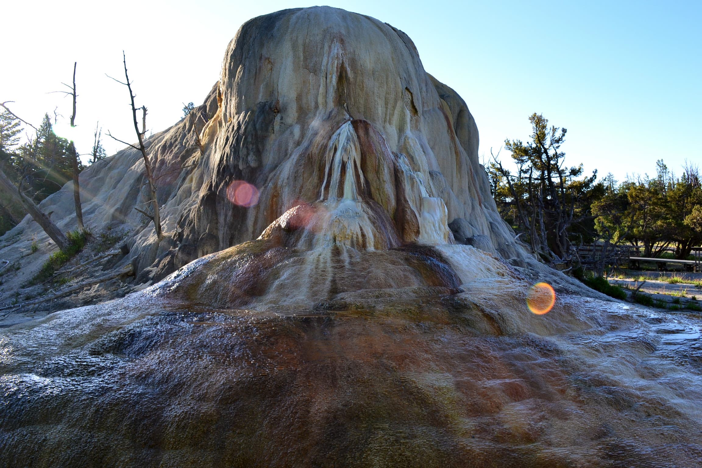 Mammoth Hot Springs near the ponds trailhead.