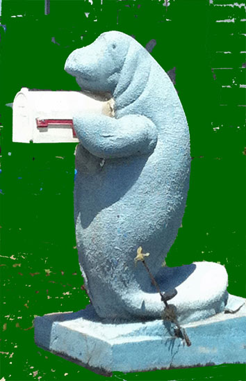 My photo of a manatee mailbox sculpture. Manatee mailbox.