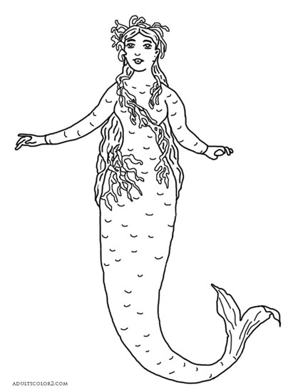 Little Mermaid costume from 1887.
