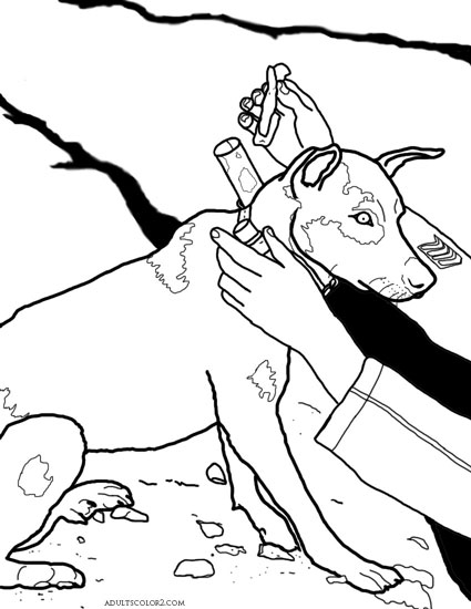 World War I courier dog.